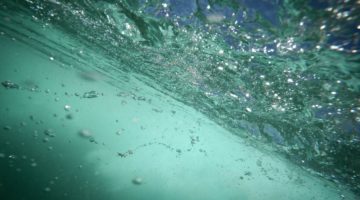 WATER QUALITY